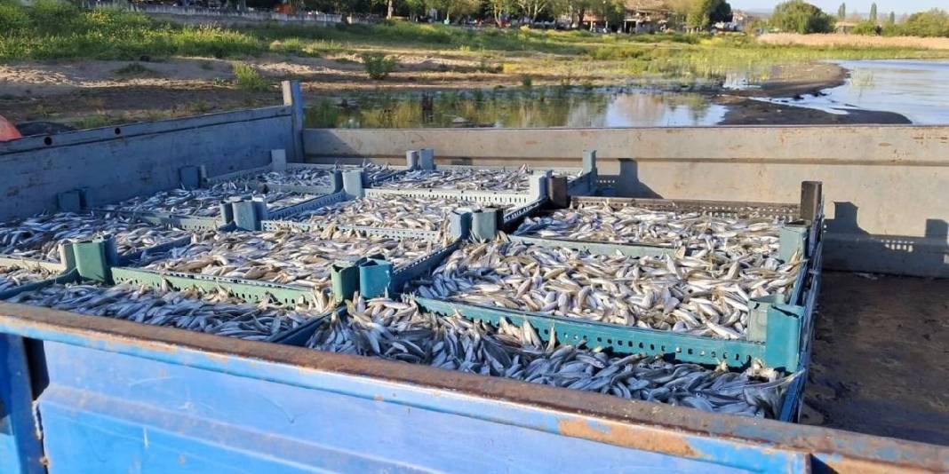 İznik Gölü’nde sezon bereketiyle başladı: Tek seferde 2 ton yakaladılar 4